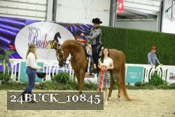 24BUCK_10845 thumbnail