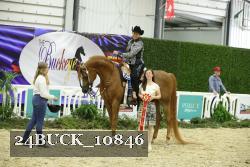 24BUCK_10846 thumbnail