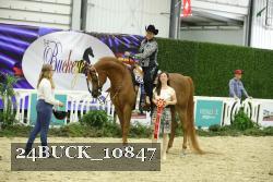 24BUCK_10847 thumbnail