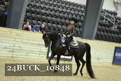 24BUCK_10848 thumbnail
