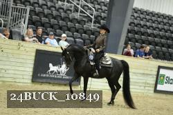 24BUCK_10849 thumbnail