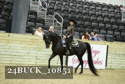 24BUCK_10851 thumbnail