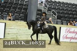 24BUCK_10852 thumbnail