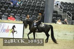 24BUCK_10855 thumbnail