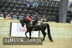 24BUCK_10856 thumbnail
