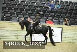24BUCK_10857 thumbnail