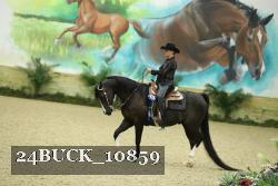 24BUCK_10859 thumbnail