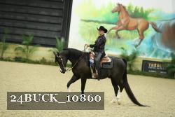 24BUCK_10860 thumbnail