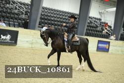 24BUCK_10861 thumbnail