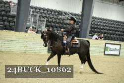 24BUCK_10862 thumbnail