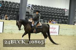 24BUCK_10865 thumbnail