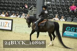 24BUCK_10868 thumbnail