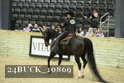 24BUCK_10869 thumbnail