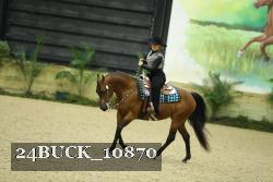 24BUCK_10870 thumbnail