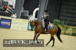 24BUCK_10871 thumbnail