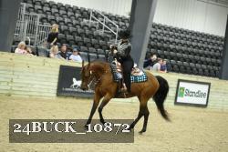 24BUCK_10872 thumbnail