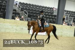 24BUCK_10873 thumbnail