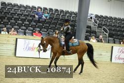 24BUCK_10874 thumbnail