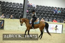 24BUCK_10875 thumbnail