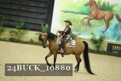24BUCK_10880 thumbnail