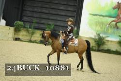 24BUCK_10881 thumbnail