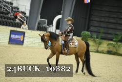 24BUCK_10882 thumbnail