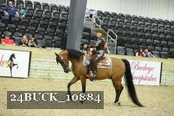 24BUCK_10884 thumbnail