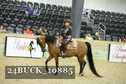24BUCK_10885 thumbnail