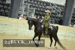 24BUCK_10890 thumbnail