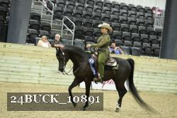 24BUCK_10891 thumbnail