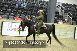 24BUCK_10892 thumbnail
