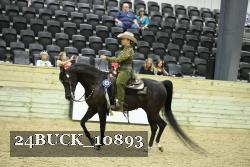24BUCK_10893 thumbnail