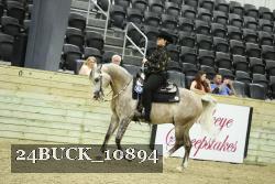 24BUCK_10894 thumbnail
