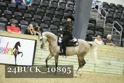 24BUCK_10895 thumbnail