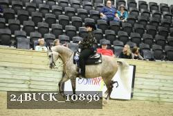 24BUCK_10896 thumbnail