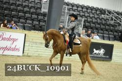 24BUCK_10901 thumbnail