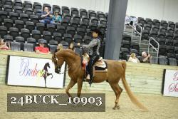 24BUCK_10903 thumbnail