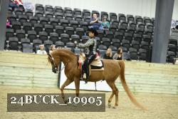 24BUCK_10905 thumbnail