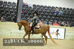 24BUCK_10906 thumbnail