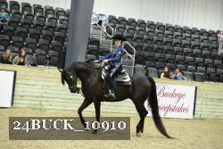 24BUCK_10910 thumbnail