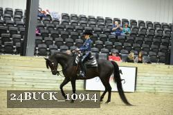 24BUCK_10914 thumbnail