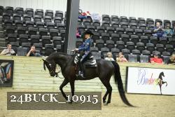 24BUCK_10915 thumbnail