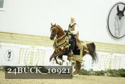 24BUCK_10921 thumbnail