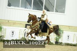 24BUCK_10922 thumbnail
