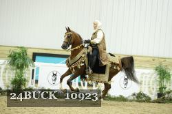 24BUCK_10923 thumbnail