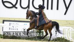 24BUCK_10924 thumbnail