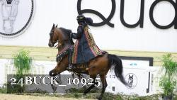 24BUCK_10925 thumbnail