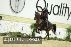 24BUCK_10926 thumbnail