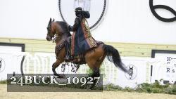 24BUCK_10927 thumbnail