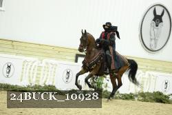 24BUCK_10928 thumbnail